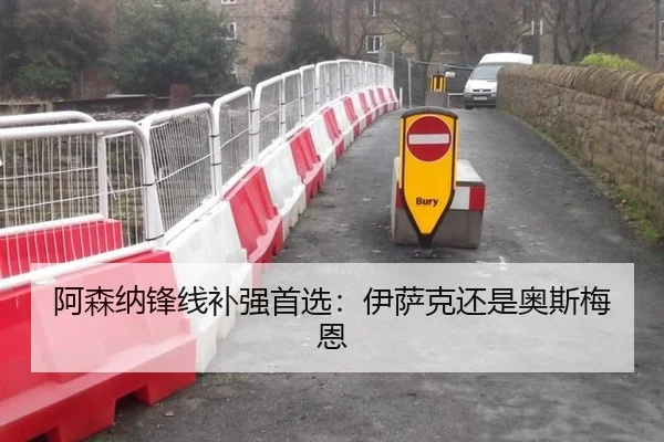 阿森纳锋线补强首选：伊萨克还是奥斯梅恩